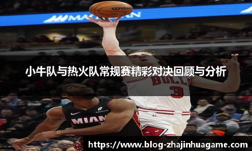 小牛队与热火队常规赛精彩对决回顾与分析